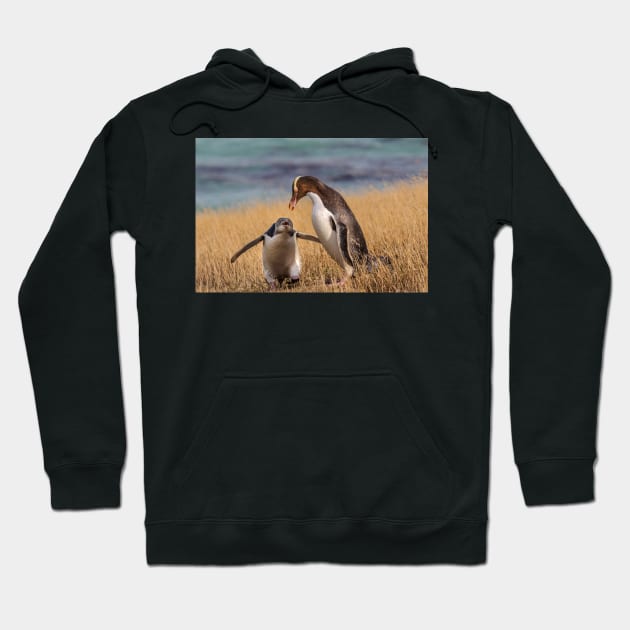 Anticipation Hoodie by fotoWerner